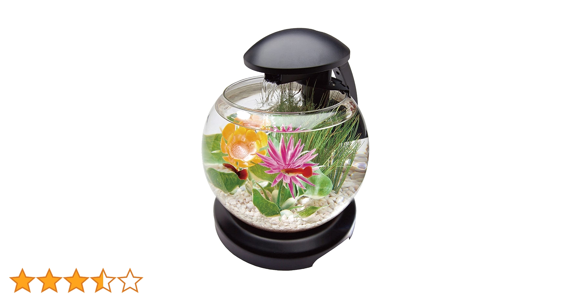 テトラ ウォーター フォール アクアリウム カラー Amazon | テトラ (Tetra) ウォーターフォール アクアリウム